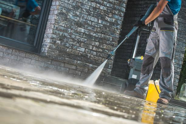 Best Soft Washing  in Shingle Springs, CA
