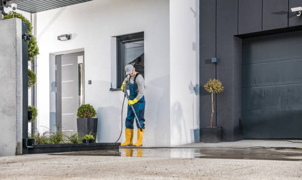 Animal Enclosure Cleaning in Shingle Springs, CA